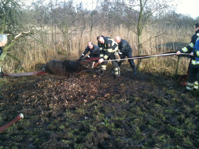 Brandweernederhorst.nl